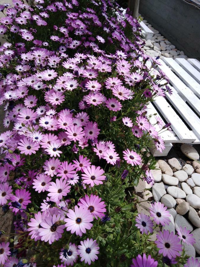 Sofia's Garden Apartment Limenaria  Exterior foto